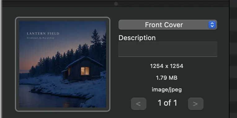 Metadatics Album Artwork Editor panel with image type menu and description field
