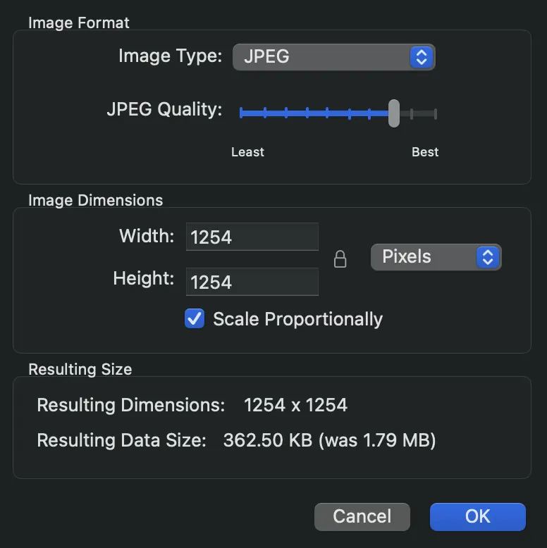 Metadatics Resize Artwork panel showing image type, quality, and dimension options